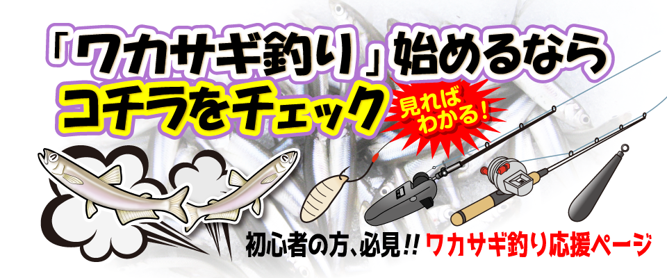 top wakasagi2025 960x400